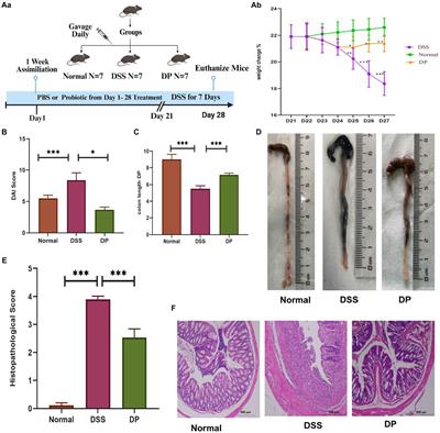 Lacticaseibacillusparacasei BNCC345679 revolutionizes DSS-induced colitis and modulates gut microbiota